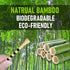 Golf Tees, 100 Pack of 3 1/4 Inch Professional Natural Bamboo Tees, Durable & Stable System