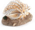 Acouto Aquarium Bubbler Decor - Coral Reef Aerating Action Ornament, Fish Tank Shell Pearl Bubbler Decoration