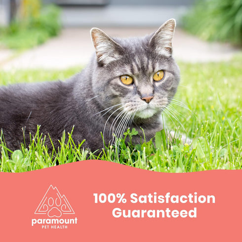 Wild Alaskan Salmon Oil for Cats and Small Dogs, Premium Quality Salmon Oil Supplement for Pets (2 Ounce)