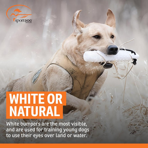 Dummies SportDOG White Plastic - Durable Soft Plastic Retriever & Hunting Bumper Training Accessory - Non-Toxic