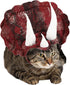 CALIFORNIA COSTUME COLLECTIONS Pet TRICERADOG Dog Costumes, Burgundy, M, Neck 14-16 Girth 20-24