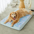 WNPETHOME Orthopedic Large Dog Bed - Egg Foam Crate Pet Bed with Soft Rose Plush Waterproof Cover (S 30x20x3in)