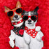 3 Set, Pieces Valentine Dog Bandana Wedding Triangle Cat Scarf Washable Reversible Printing Loving Heart Bibs Dog