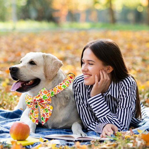 Fall Dog Collar with Bow Tie - Durable Adjustable Colorful Cotton Pet Collar for Small Medium Large Dogs, L
