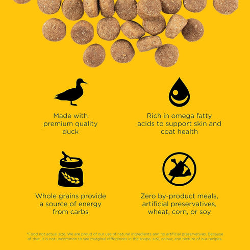GO! SOLUTIONS Skin + Coat Care - Dry Dog Food, Duck Recipe with Grains for all life stages, 3.5 lb