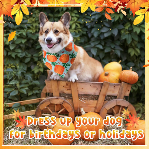 120 30 Sanwuta Pcs Thanksgiving Fall Bandanas for Dogs Bulk Pumpkin Maple Leaf Triangle Dog Bandana Autumn Washable Pet