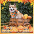120 30 Sanwuta Pcs Thanksgiving Fall Bandanas for Dogs Bulk Pumpkin Maple Leaf Triangle Dog Bandana Autumn Washable Pet