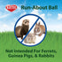 13" Chinchillas Kaytee Clear Run-About Exercise Ball For Pet Rats