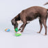 Fringe Studio Plush Dog Toy Set - Rawr-Ing Summer, Small 3 Piece Set, Pet Shop Collection (662089)