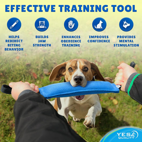 Dog Bite Tug Toy (11.8"x3.5") - Durable Blue Pull Toy with 2 Soft Handles for Small to Medium Dogs