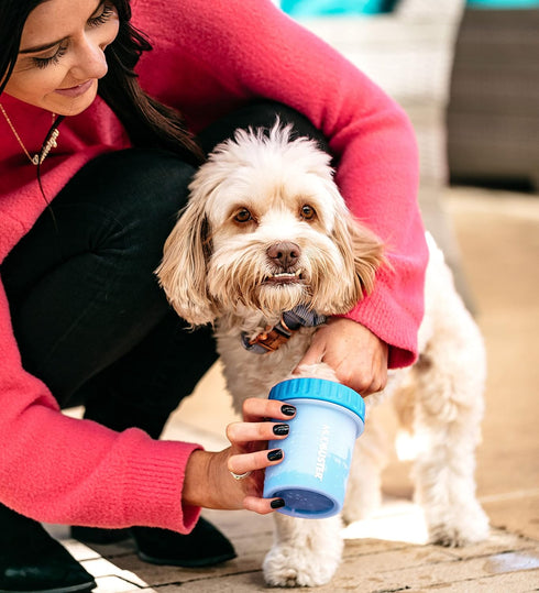 Dexas MudBuster Portable Dog Paw Cleaner, Premium Quality, Blue, Small Size for Pet Supplies