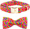 Elegant little tail Rainbow Dog Collar, Adjustable Pet Collar for Small Dogs, LGBT Pride Month Design