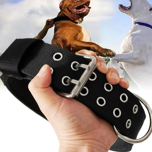 Large Dog Collar, Black Heavy Duty for Giant Breed Dogs, 2 inch Wide with Handle, Strong Nylon and Stainless Hardware