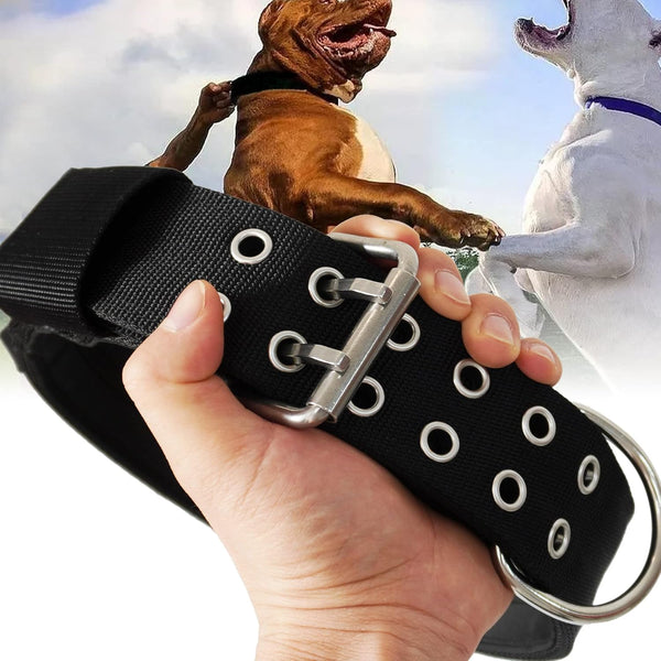 Large Dog Collar, Black Heavy Duty for Giant Breed Dogs, 2 inch Wide with Handle, Strong Nylon and Stainless Hardware