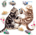 SunGrow Cat Catnip Mice Toys, Furry Plush, 2”, 10 Pcs per Pack, Interactive, Multicolor
