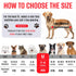Hammock Trimming Hammock Spacing:11-14)/Max W:45lb) Dog Grooming for Dogs Dog Restraint for Nail with Pet Nail Clipper