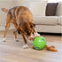 2 Outward Hound by Nina Ottosson Dog Snuffle N' Treat Ball Puzzle, Level Intermediate, Green, Large
