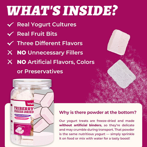 4.23oz Immune Wellix Natural Freeze-Dried Snacks for Dog & Cat - Triberry Yoggy Cat Yogurt Treats with Chicken Flavor