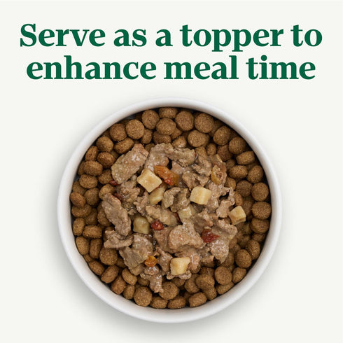 Pack, 3.5 oz. (12 Count, Pack 2) Nutro Natural Choice Cuts in Gravy Wet Dog Food, Grain Free Dog Food Wet Lamb and Beef