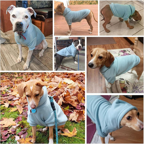 BINGPET Dog Hoodies - Fleece Lined Fall Sweatshirt for Small Medium Large Dogs & Cats - Soft Warm Sweater