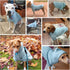 BINGPET Dog Hoodies - Fleece Lined Fall Sweatshirt for Small Medium Large Dogs & Cats - Soft Warm Sweater