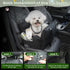33 lbs VVICOGARD Dog Car Seats for Small Dogs, Removable Airbag Design Black Washable Pet Booster Seat with Thick