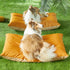 Allisandro Outdoor Dog Bed Pet Pad, Tough Pet Pillow with Removable Cover, Scratch and Water Resistant, Orange/Light