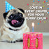 Dog Birthday Cake for Dogs - Rice Cake Based Dessert Made with Dog Treats and Human Grade Ingredients - Happy Birthday