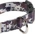 Hooey Nomad Dog Collar, Durable Polyester Webbing with Graphic-Inspired Prints, Just Cow, Medium