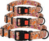 Nylon Dog Collar, Floral Pattern, Toffee, 10-13 inch