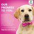 Doggie Dailies Skin & Coat Supplement - 225 Soft Chews with Salmon Oil, Collagen, Omega 3, Krill Oil, Biotin, & Coconut