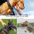 DAGANXI Tactical Dog Collar, Adjustable Military Nylon Collar with Control Handle, Heavy Metal Buckle, Patches &