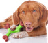 SPOT Bam-Bones Dental X-Bone for Dogs, Made with Bamboo Fiber, Durable Chew Toy for Light Chewers & Teething Puppies