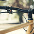 Granite Cricket Mountain Bike Bell, Single-Strike and Constant Cowbell Modes for 22.2mm to 35mm Handlebars