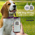 BRONZEDOG Rolled Leather Dog Collar, Plum (L: 16-18 Inch) with QR ID Tag for Small Medium Large Dogs