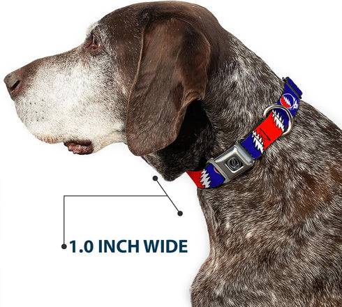 Dog Collar Seatbelt Buckle, Steal Your Face Lightning Bolt Repeat, Red White Blue, 18 to 32 Inches, 1.5 Inch Wide