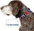 Dog Collar Seatbelt Buckle, Steal Your Face Lightning Bolt Repeat, Red White Blue, 18 to 32 Inches, 1.5 Inch Wide
