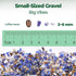 T4U 1LB Crystal Chips Tumbled Polished Natural Agate Gravel Stones - Decorative Pebbles Bulk, Mini Polished Rocks