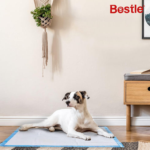 28"x34" -18 Count BESTLE Extra Large Pet Training and Puppy Pads Pee Pads for Dogs Super Absorbent & Leak-Proof