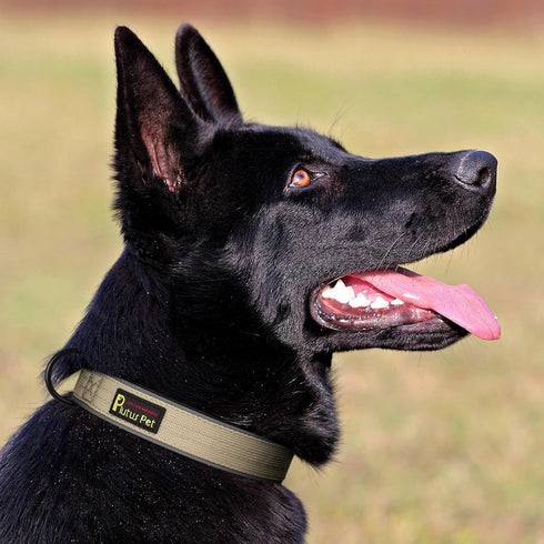 Plutus Pet Tactical Dog Collar - Reflective Adjustable Heavy Duty Collar, Soft Padded for Small Medium Large Dogs (XL,