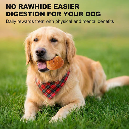 11 Count PETPHABET Rawhide Free Dog Chew Bones - Grilled Chicken Leg Dog Chews for Small Medium Breeds, Healthy Puppy