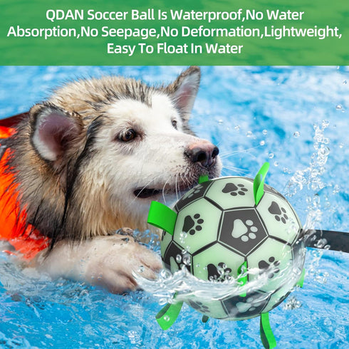 Light Up Dog Ball, Interactive Glow in The Dark Soccer Ball, Tug Water Toy for Small & Medium Dogs, Puppy Gifts (6 Inch)