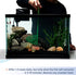 Aqueon Stick'ems Freeze-Dried Pet Fish Treat for Picky Eaters