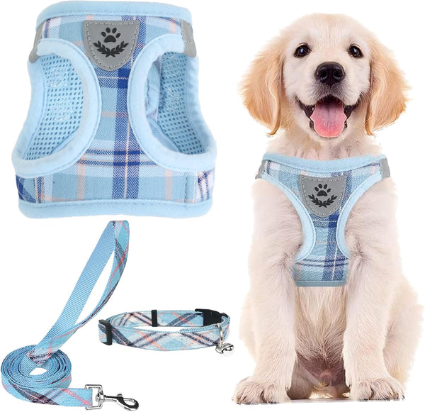 PUPTECK Adjustable Dog Harness Collar and Leash Set, Step in No Pull Pet Harness for Small Medium Dogs, Blue