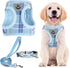 PUPTECK Adjustable Dog Harness Collar and Leash Set, Step in No Pull Pet Harness for Small Medium Dogs, Blue