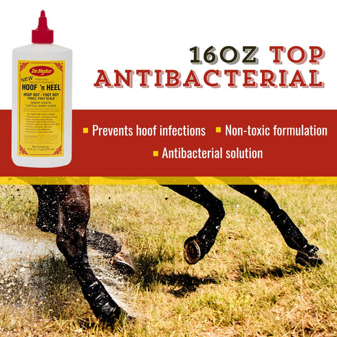 16oz, 1-pack Dr. Naylor Hoof 'N Heal, Hoof Rot Foot Rot Wound Care, Sheep Goat Cow Horse