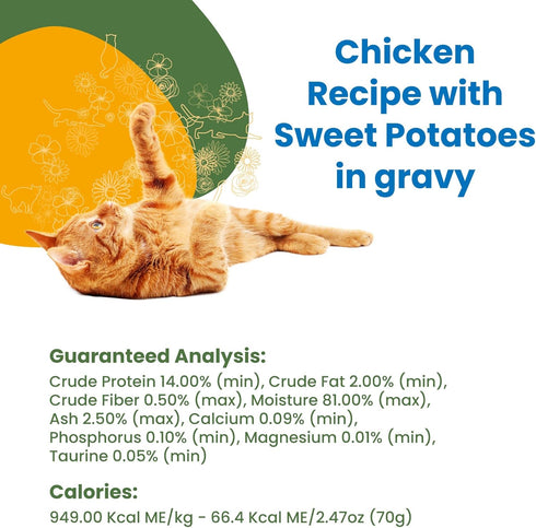 almo nature HQS Complete Chicken with Sweet Potatoes in Gravy Grain Free Wet Canned Cat Food (Pack of 24 x 2.47 oz)