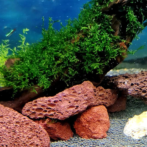 Tfwadmx Aquarium Red Lava Rock, 10 Pack Volcanic Pumice Stones for Betta Tank Fish and Shrimp