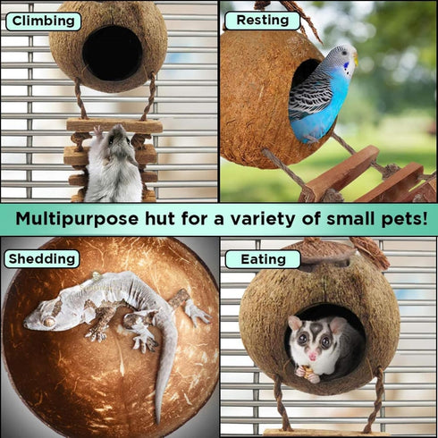 SunGrow Hermit Crab Coco Hut with Ladder, Coconut Hide for Reptiles, Crab Cage Climbing Toys, 5"