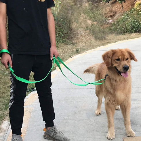 Hyhug Pets Adjustable 6 Feet Leash with Sturdy Nylon and Soft Neoprene Handle for Medium Large Dogs (Lime Green)